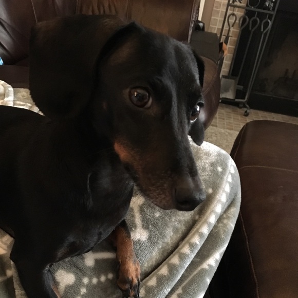 Meet your Posher, Laura - Picture 12 of 12